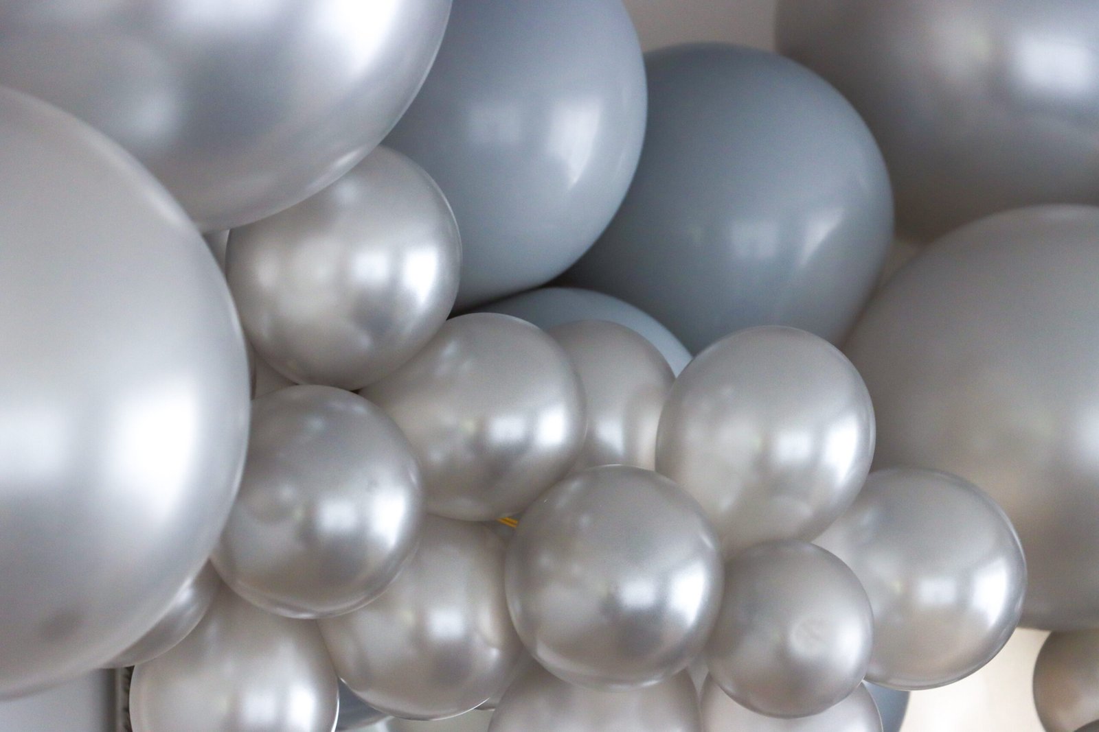 Silver Mist - Image 3