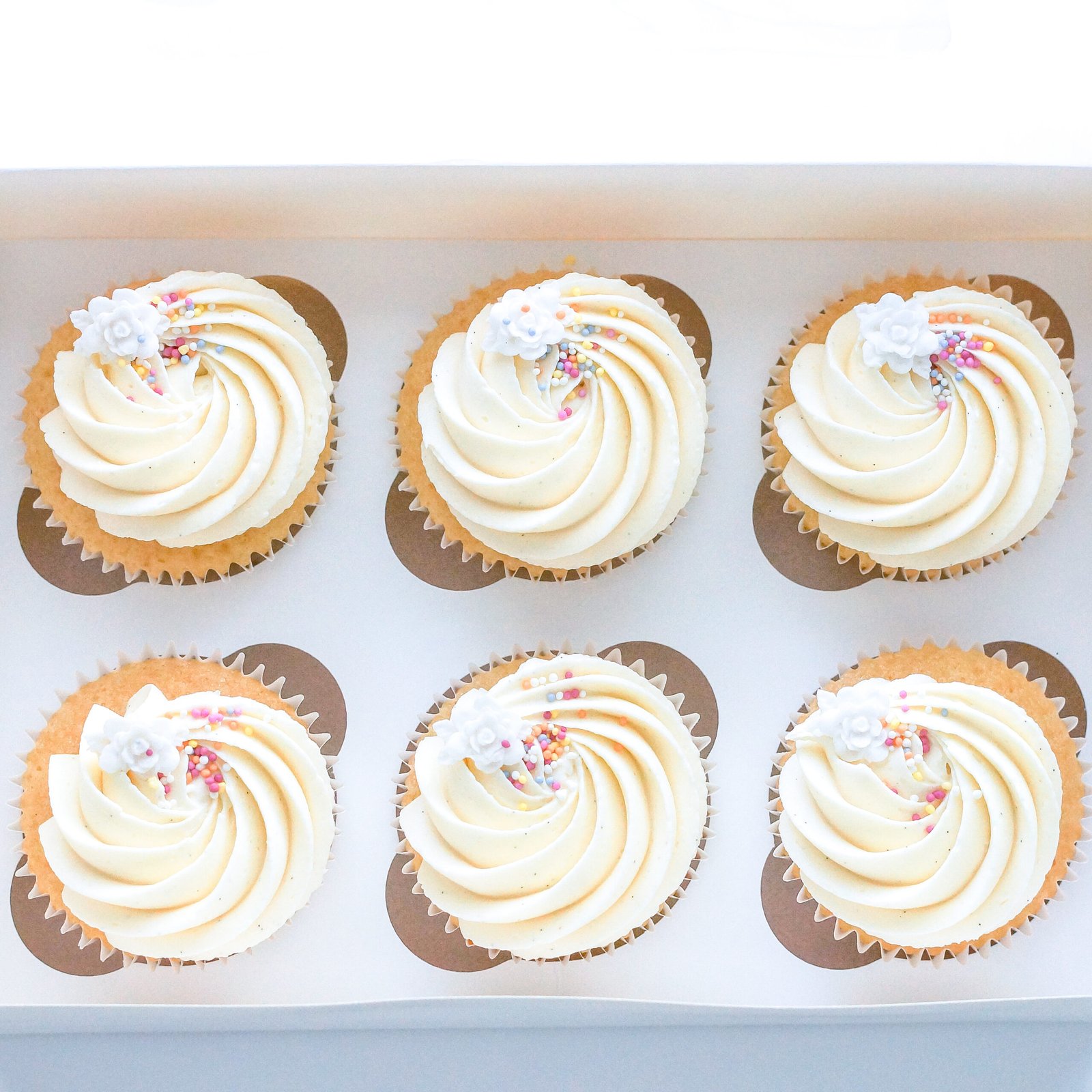12 Classic Swirl
