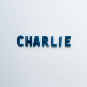 Fondant Letters